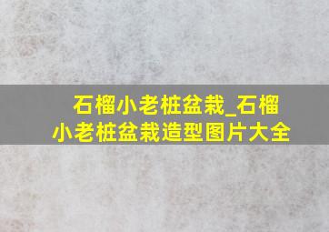 石榴小老桩盆栽_石榴小老桩盆栽造型图片大全