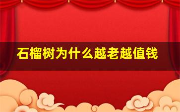 石榴树为什么越老越值钱