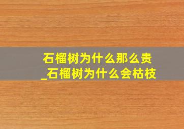 石榴树为什么那么贵_石榴树为什么会枯枝