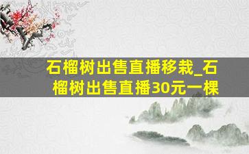 石榴树出售直播移栽_石榴树出售直播30元一棵