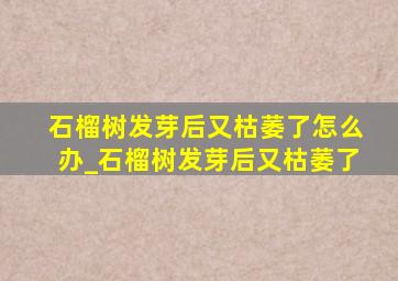 石榴树发芽后又枯萎了怎么办_石榴树发芽后又枯萎了