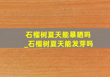 石榴树夏天能暴晒吗_石榴树夏天能发芽吗