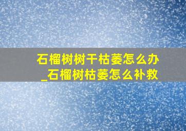 石榴树树干枯萎怎么办_石榴树枯萎怎么补救