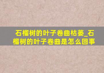 石榴树的叶子卷曲枯萎_石榴树的叶子卷曲是怎么回事