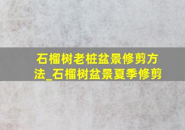 石榴树老桩盆景修剪方法_石榴树盆景夏季修剪