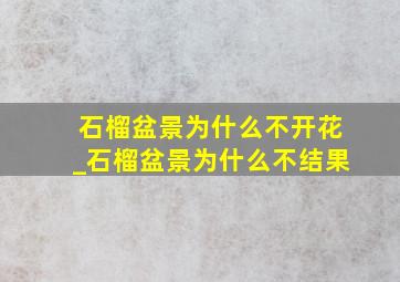 石榴盆景为什么不开花_石榴盆景为什么不结果