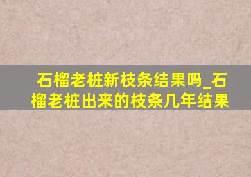 石榴老桩新枝条结果吗_石榴老桩出来的枝条几年结果