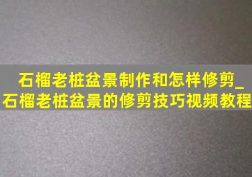 石榴老桩盆景制作和怎样修剪_石榴老桩盆景的修剪技巧视频教程