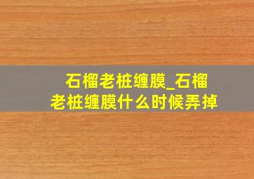 石榴老桩缠膜_石榴老桩缠膜什么时候弄掉