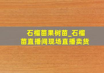 石榴苗果树苗_石榴苗直播间现场直播卖货