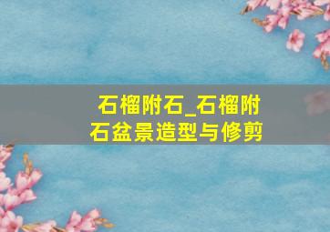 石榴附石_石榴附石盆景造型与修剪