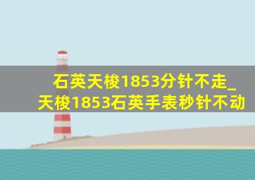 石英天梭1853分针不走_天梭1853石英手表秒针不动