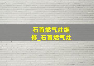 石首燃气灶维修_石首燃气灶