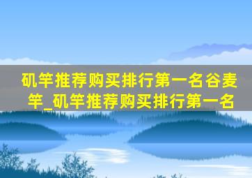 矶竿推荐购买排行第一名谷麦竿_矶竿推荐购买排行第一名