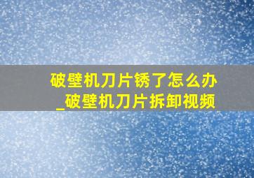 破壁机刀片锈了怎么办_破壁机刀片拆卸视频