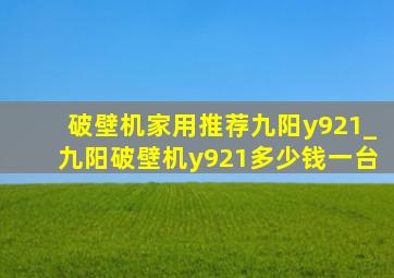 破壁机家用推荐九阳y921_九阳破壁机y921多少钱一台