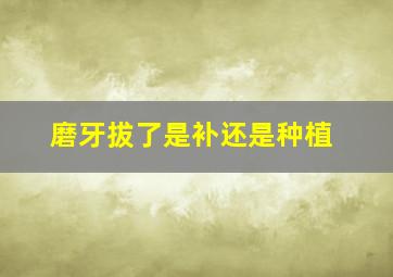 磨牙拔了是补还是种植