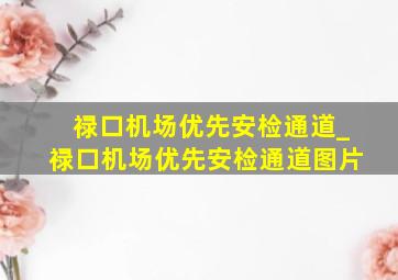 禄口机场优先安检通道_禄口机场优先安检通道图片