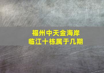 福州中天金海岸临江十栋属于几期