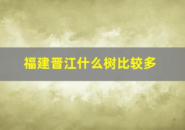 福建晋江什么树比较多