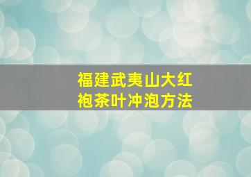 福建武夷山大红袍茶叶冲泡方法