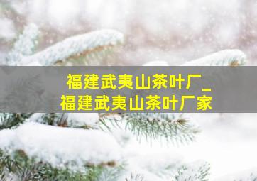 福建武夷山茶叶厂_福建武夷山茶叶厂家