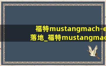 福特mustangmach-e落地_福特mustangmach-e灰色