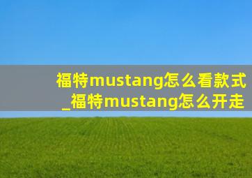 福特mustang怎么看款式_福特mustang怎么开走