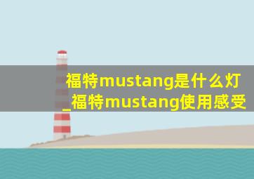 福特mustang是什么灯_福特mustang使用感受