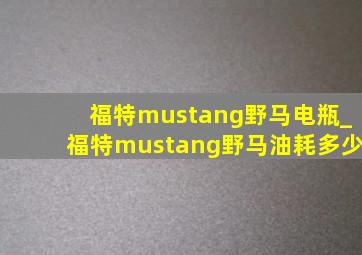 福特mustang野马电瓶_福特mustang野马油耗多少