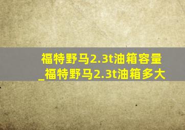 福特野马2.3t油箱容量_福特野马2.3t油箱多大