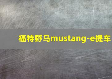 福特野马mustang-e提车