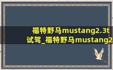 福特野马mustang2.3t试驾_福特野马mustang2.3t