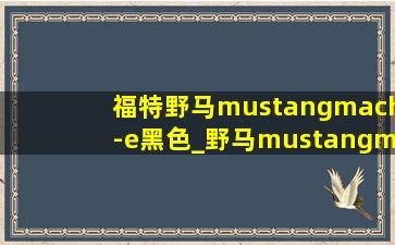 福特野马mustangmach-e黑色_野马mustangmach-e黑色