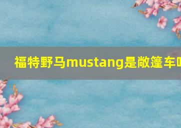 福特野马mustang是敞篷车吗