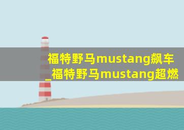 福特野马mustang飙车_福特野马mustang超燃