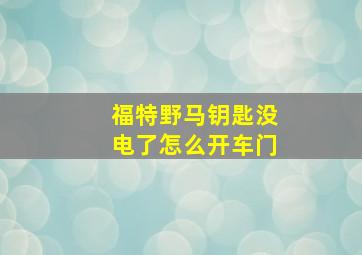 福特野马钥匙没电了怎么开车门