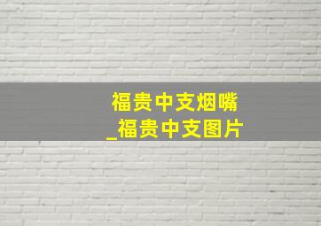 福贵中支烟嘴_福贵中支图片