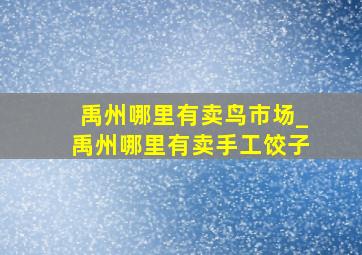 禹州哪里有卖鸟市场_禹州哪里有卖手工饺子