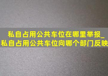 私自占用公共车位在哪里举报_私自占用公共车位向哪个部门反映