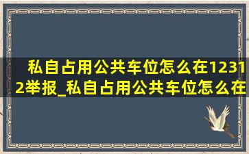 私自占用公共车位怎么在12312举报_私自占用公共车位怎么在12123举报