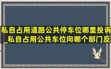 私自占用道路公共停车位哪里投诉_私自占用公共车位向哪个部门反映