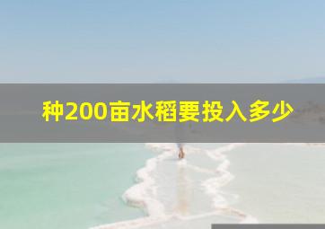 种200亩水稻要投入多少