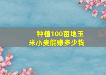 种植100亩地玉米小麦能赚多少钱