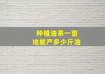 种植油茶一亩地能产多少斤油