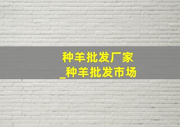 种羊批发厂家_种羊批发市场