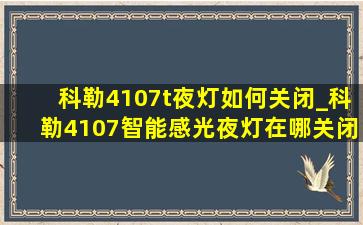 科勒4107t夜灯如何关闭_科勒4107智能感光夜灯在哪关闭