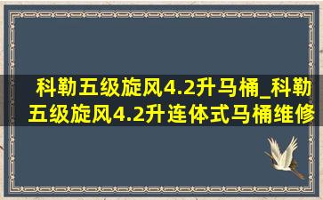 科勒五级旋风4.2升马桶_科勒五级旋风4.2升连体式马桶维修