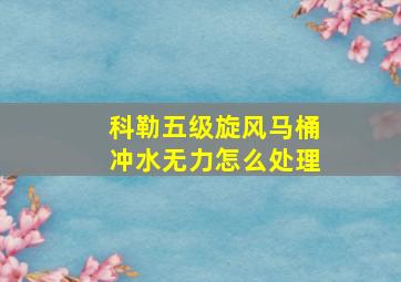 科勒五级旋风马桶冲水无力怎么处理