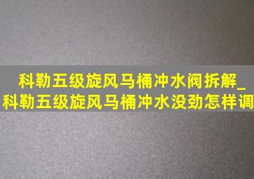 科勒五级旋风马桶冲水阀拆解_科勒五级旋风马桶冲水没劲怎样调